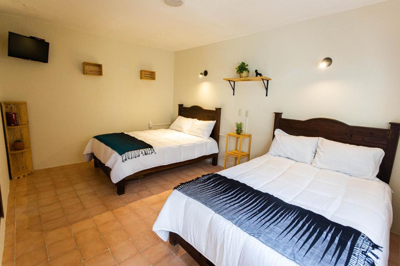 Casa Venus Hotel San Cristóbal de Las Casas Екстериор снимка